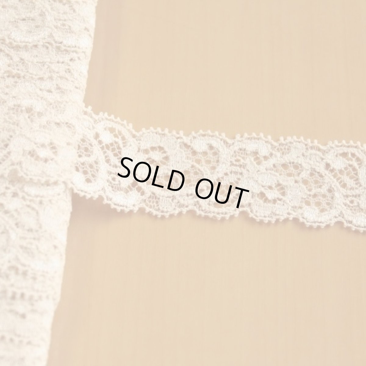 画像1: リバーストレッチレース　ベージュ　幅2.９cm薔薇柄　5ｍ！ (1)