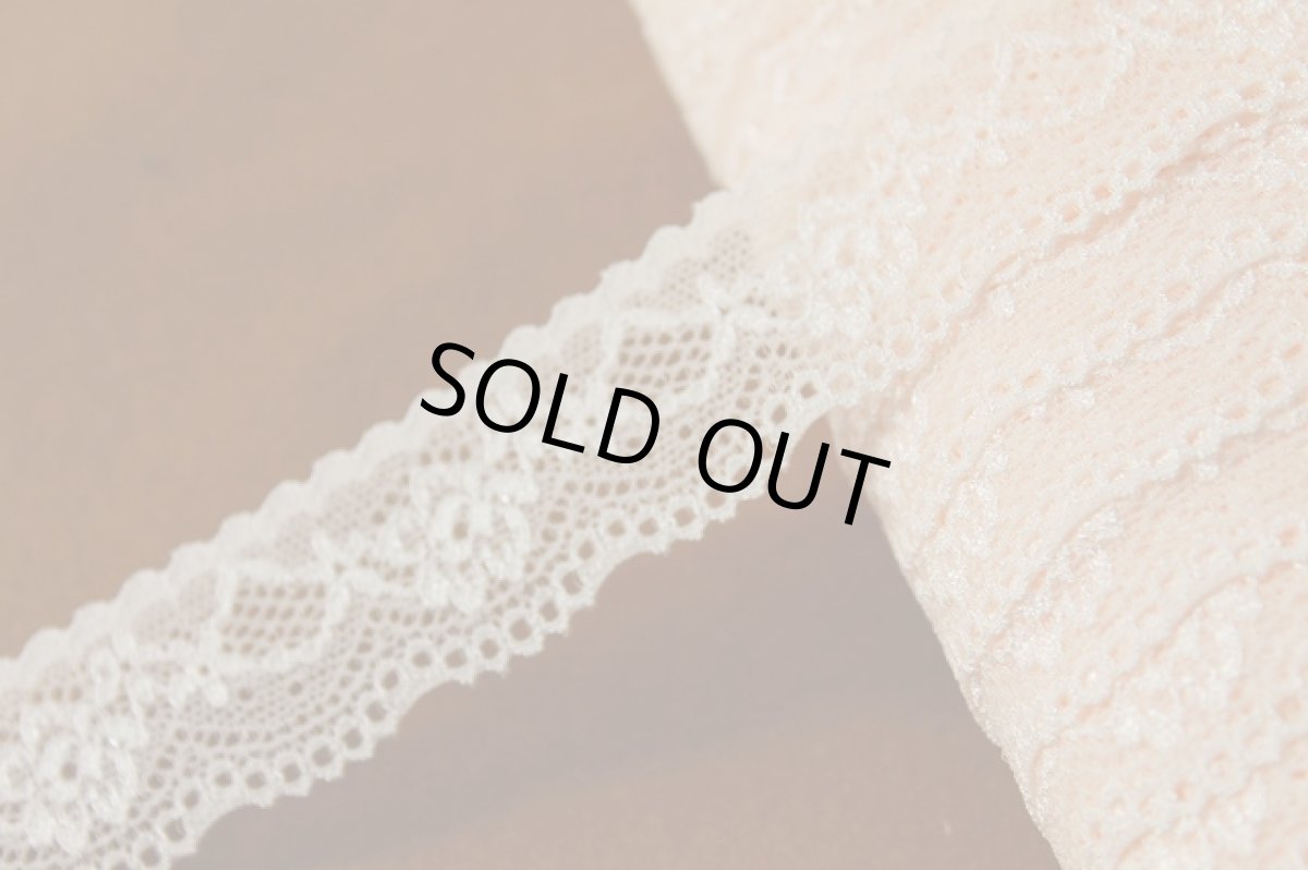 画像1: 10ｍ！幅2.9cm綺麗な薔薇柄ラッセルストレッチレース　明るいベージュ (1)