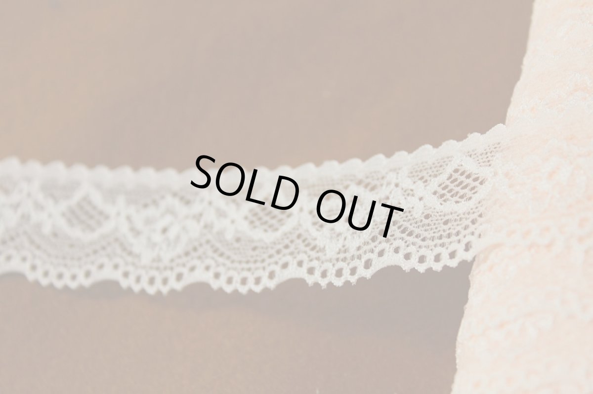 画像2: 10ｍ！幅2.9cm綺麗な薔薇柄ラッセルストレッチレース　明るいベージュ (2)