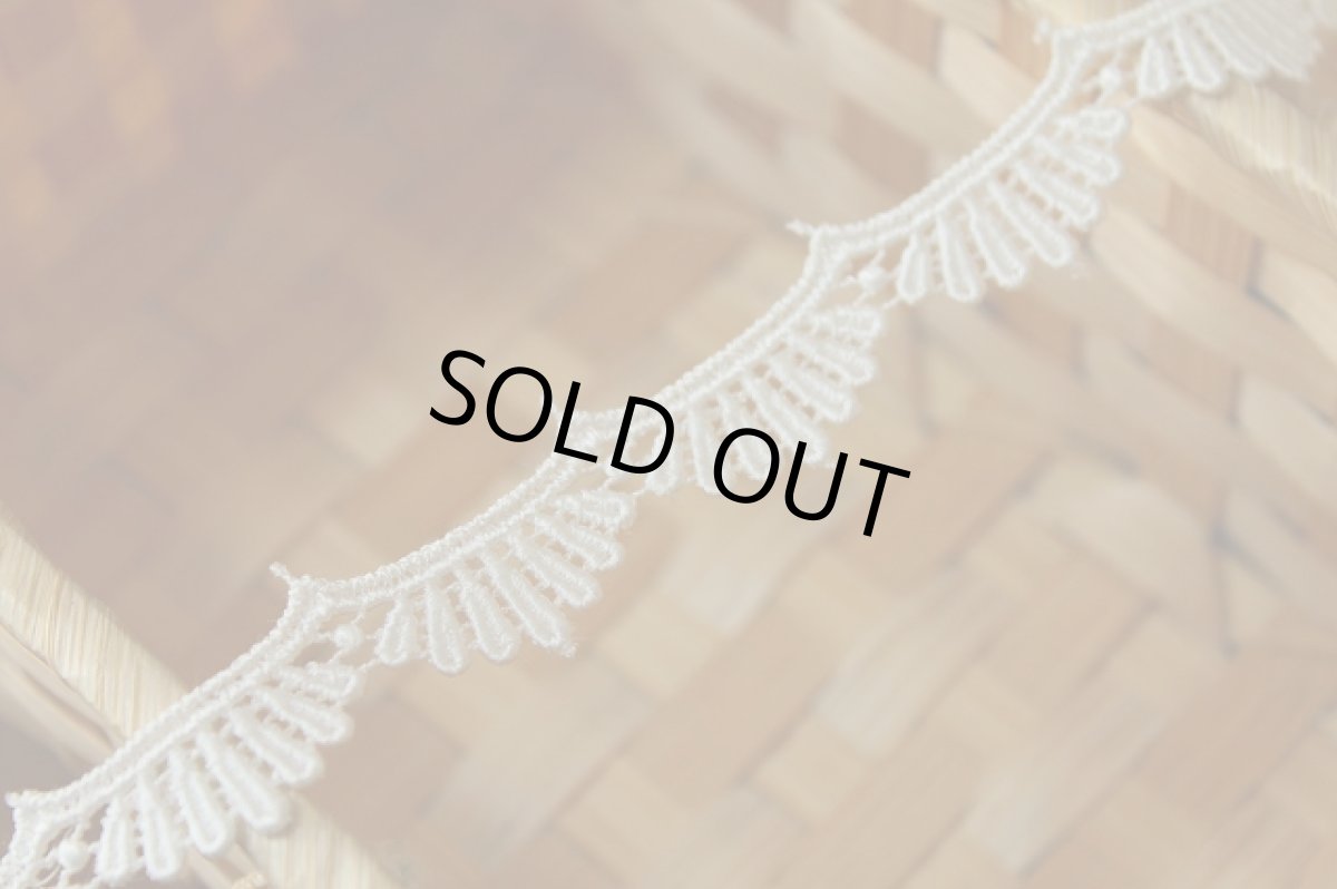 画像3: 6ｍ！幅1.3cmスカラの美しいケミカルレース　オフホワイト日本製 (3)