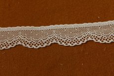 画像2: ５ｍ！幅2.９cm繊細なスカラの綺麗なラッセルストレッチレース　ベージュ (2)