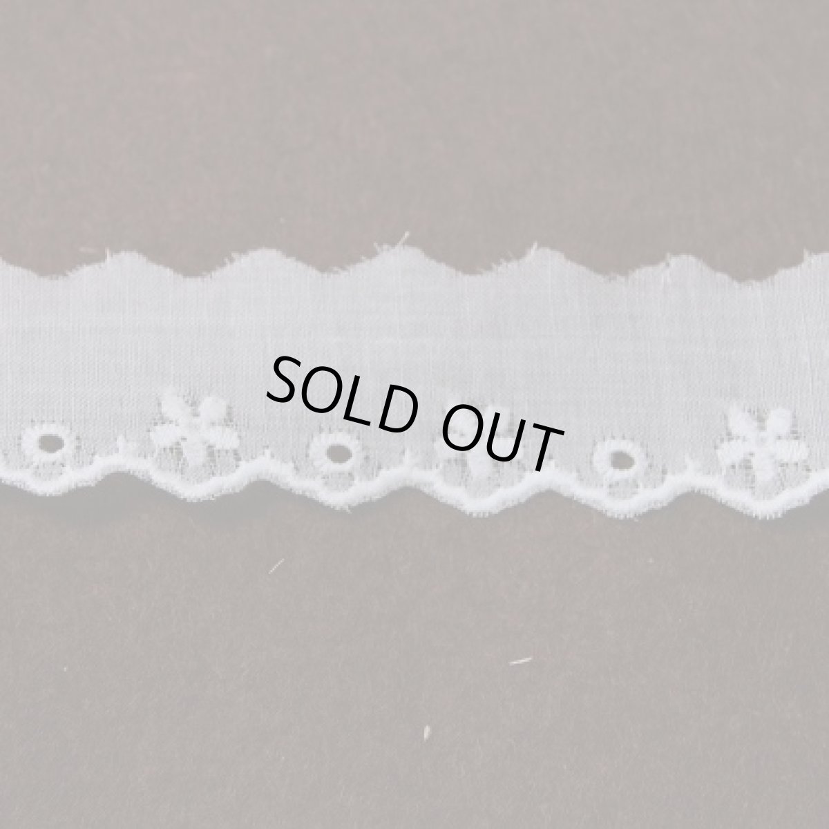 画像2: 綿レース　ホワイト ３ｍ巻！幅2.3cm可愛い小花柄 日本製 (2)