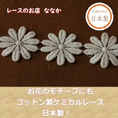 画像2: 24枚巻！幅3.6cmコットンの花柄ケミカルレース　オフホワイト (2)