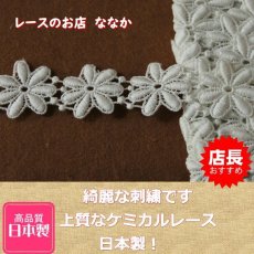 画像1: １ｍ!幅2.5cm綺麗な花柄綿ケミカルレース　オフホワイト (1)