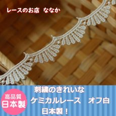 画像1: 6ｍ！幅1.3cmスカラの美しいケミカルレース　オフホワイト日本製 (1)
