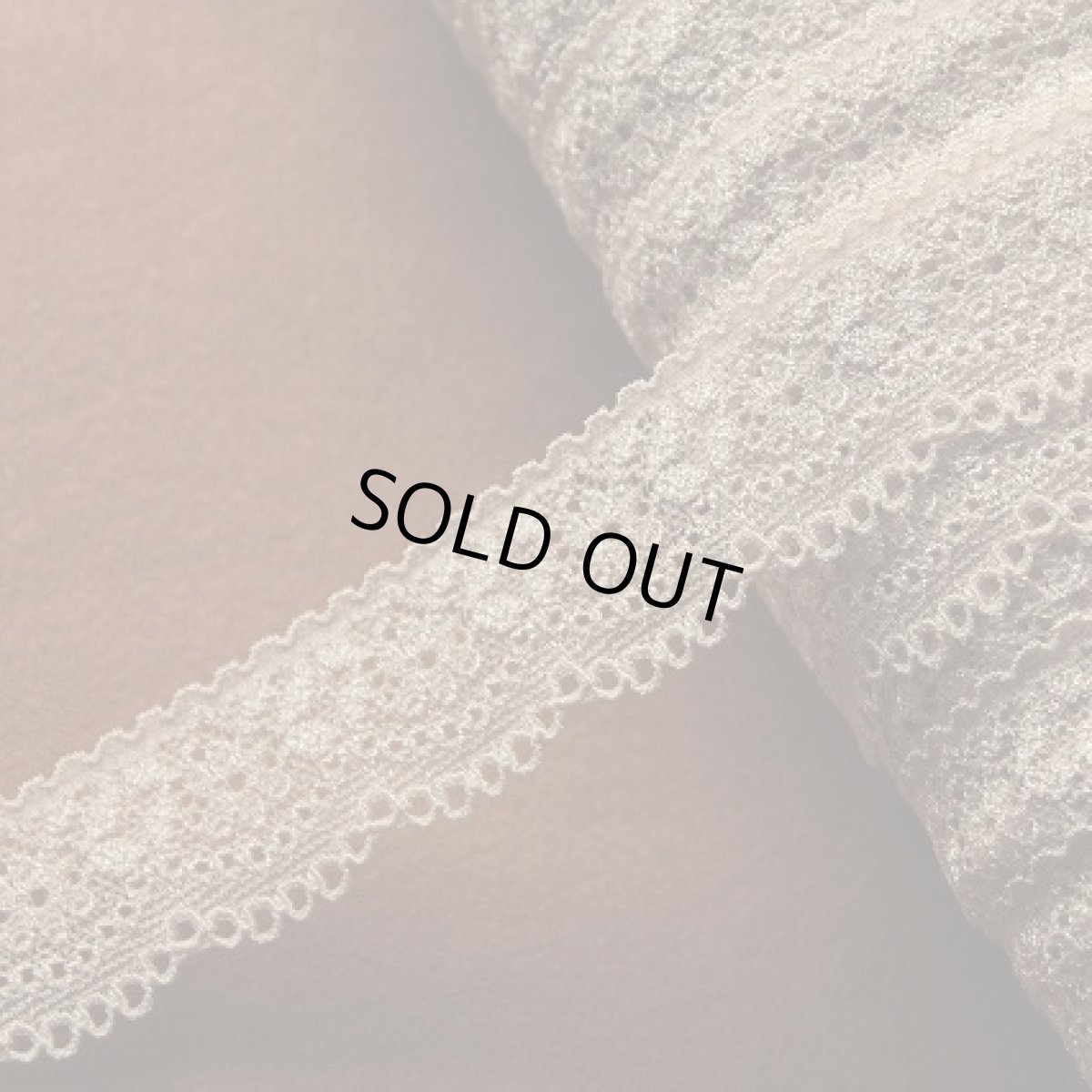 画像1: ラッセルストレッチレース 上品なベージュ　幅2.8cm小花柄　30m日本製 (1)