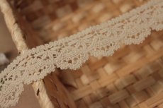 画像6: 【高品質な日本製】ケミカルレース　コットン生成り　幅3cm　細糸使いスカラ柄　3m巻　日本製 (6)