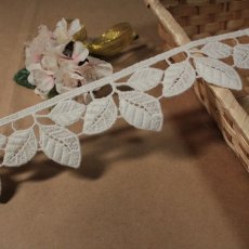 画像2: 【高品質な日本製】コットンケミカルレース　葉っぱ柄　幅4.8cm　オフホワイト3ｍ (2)