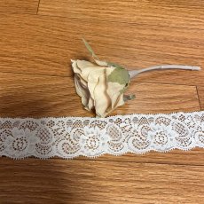 画像4: クリックポスト送料無料【日本製】20ｍ！幅4.1cm薔薇柄ラッセルストレッチレース　オフホワイト (4)