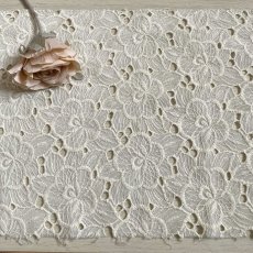 画像1: 刺繍レース生地　約25cm×約40cm　大胆な花柄刺繍レース　オフホワイト (1)