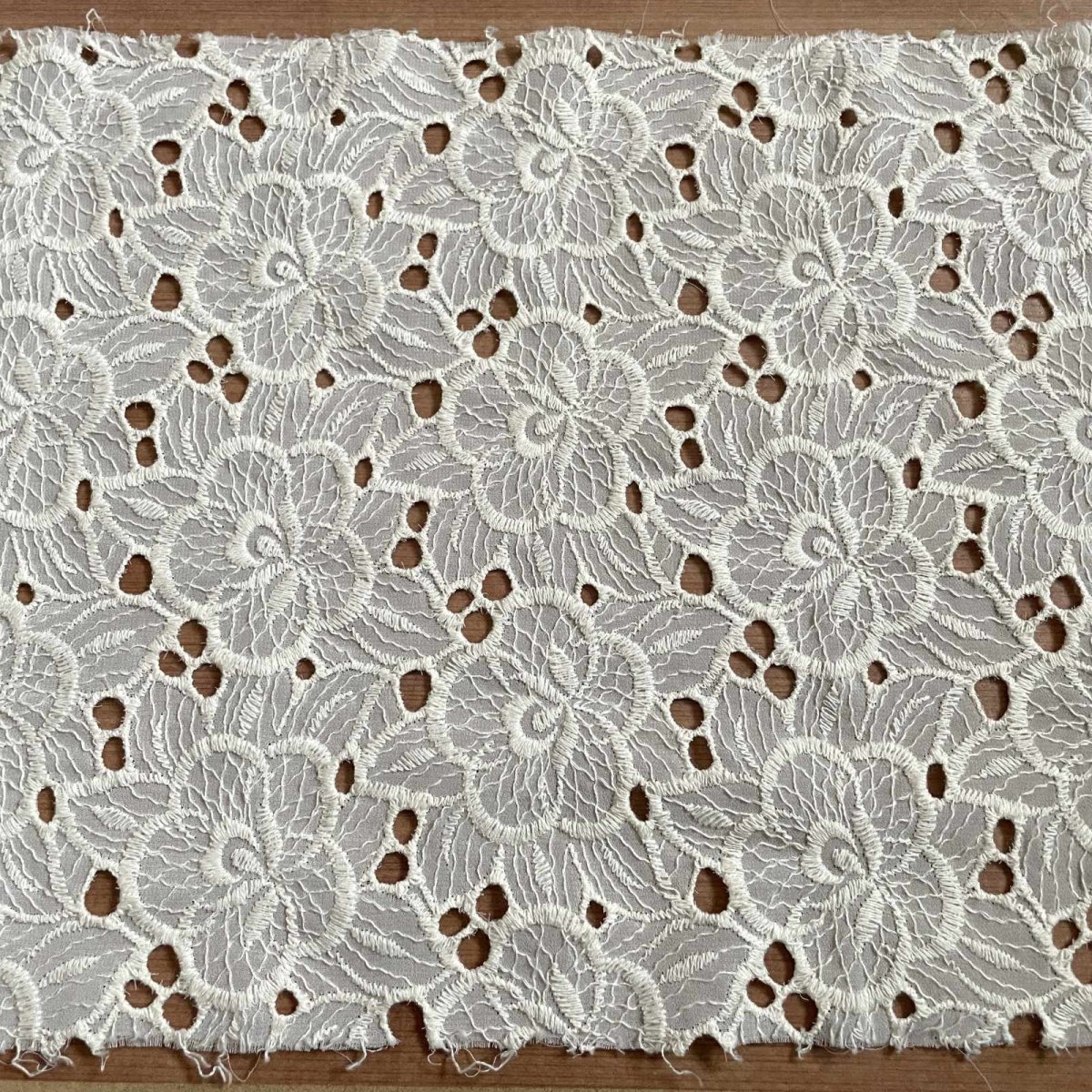 画像5: 刺繍レース生地　約25cm×約40cm　大胆な花柄刺繍レース　オフホワイト (5)