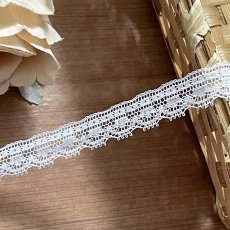 画像1: リバーレース　ホワイト　繊細で複雑なデザイン　幅1.4cm　1m　縁取りレース (1)