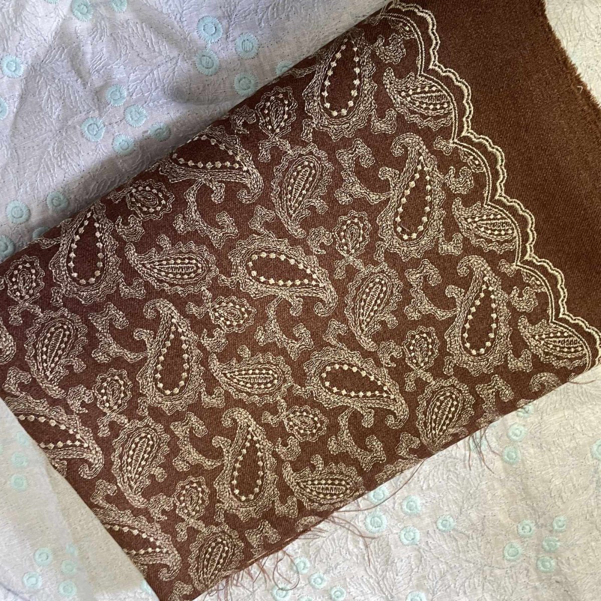 画像1: 【日本製】刺繍レース生地　約70cm×約1.2cm　金糸を使ったペーズリー刺しゅう　ブラウン (1)