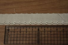 画像3: 【綺麗な日本製】6ｍ巻！幅1.9cmスカラ柄綿レース　オフホワイト業販向けレース (3)
